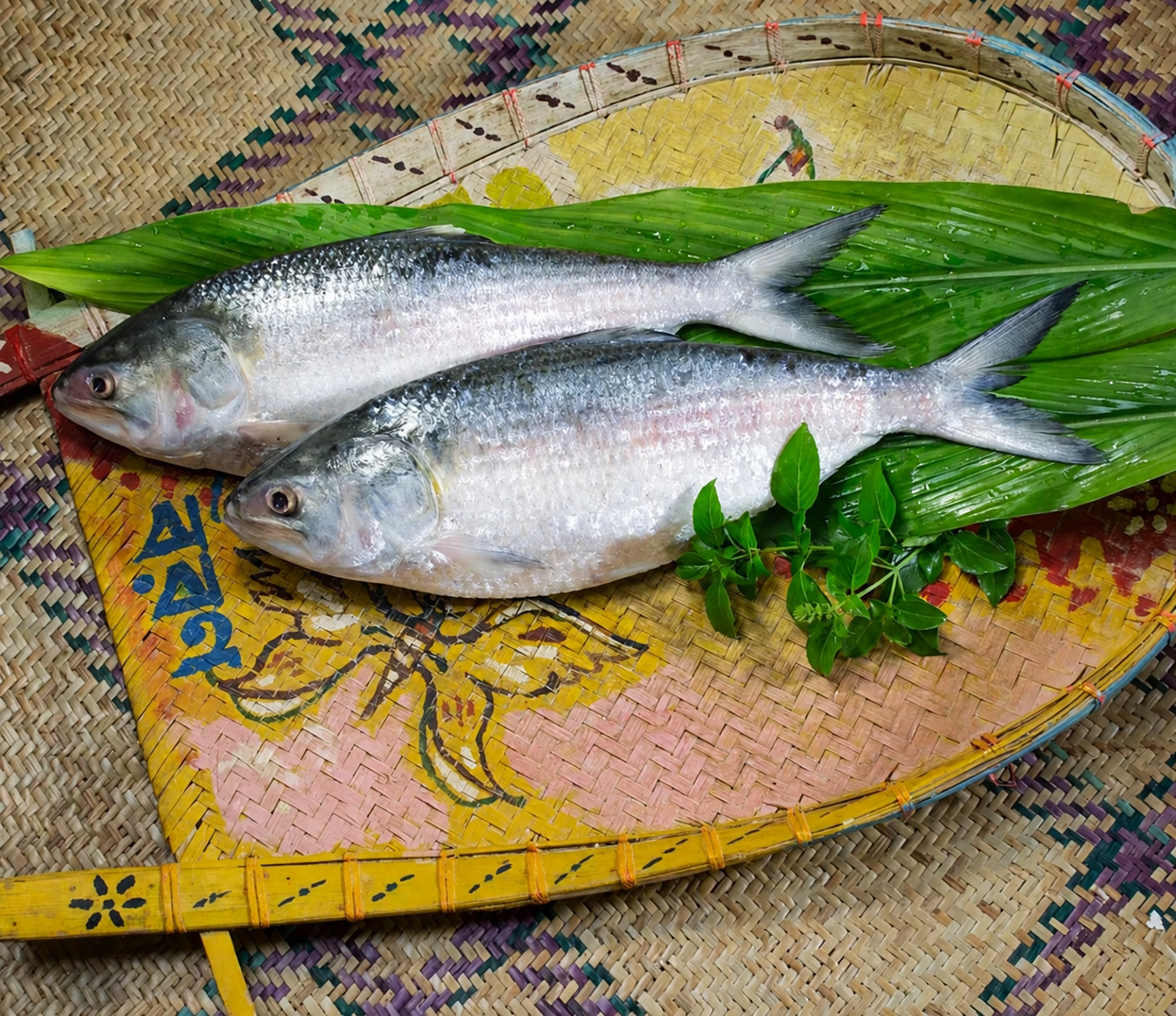 Hilsa fish 2800 ¥